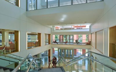 State University of New York