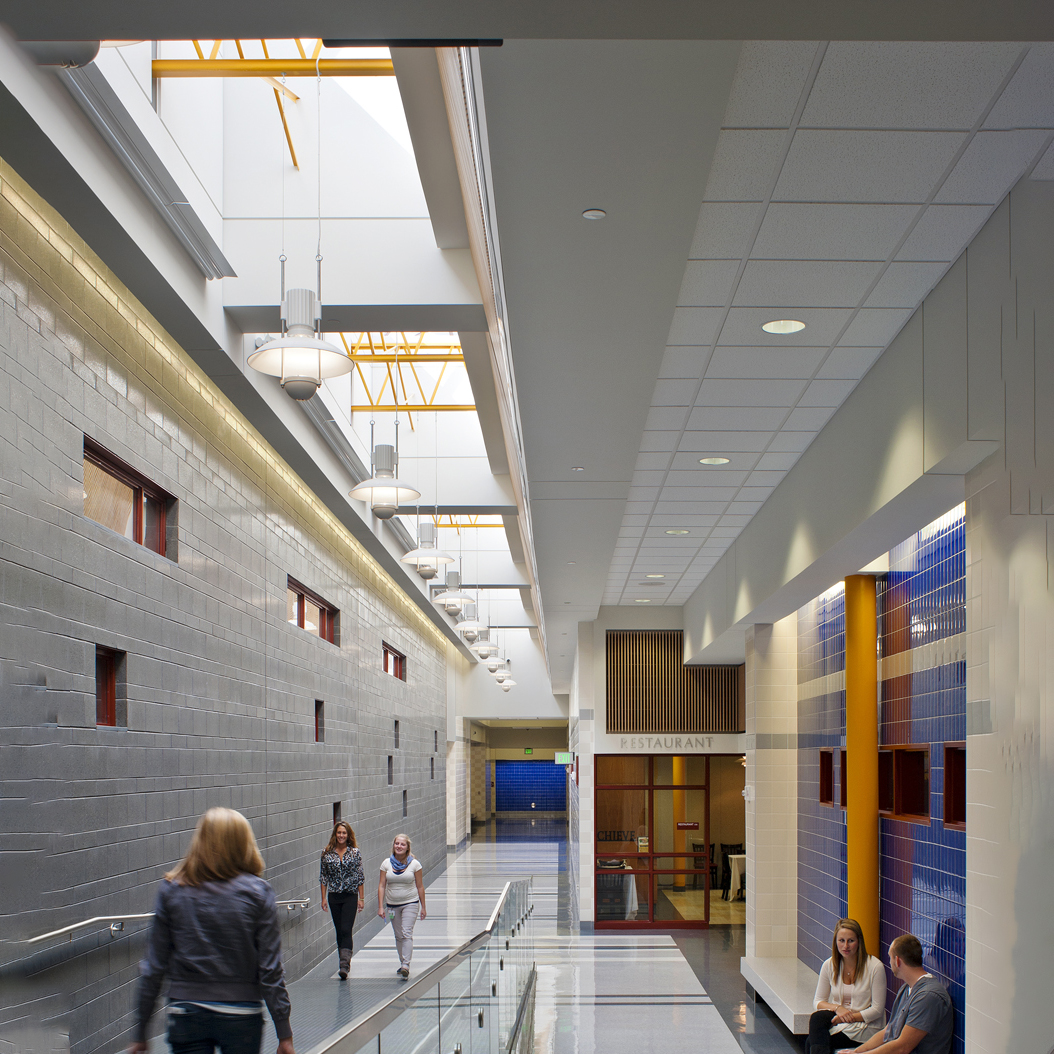skylights Brandywine barrel shaped skylights
