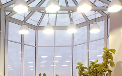 Krehbiel Science Center Greenhouse