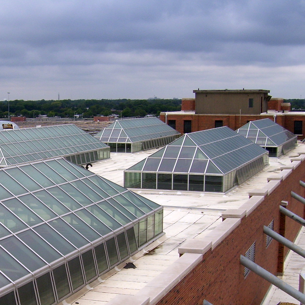 skylights with lanterns Skylights for water treatment plant