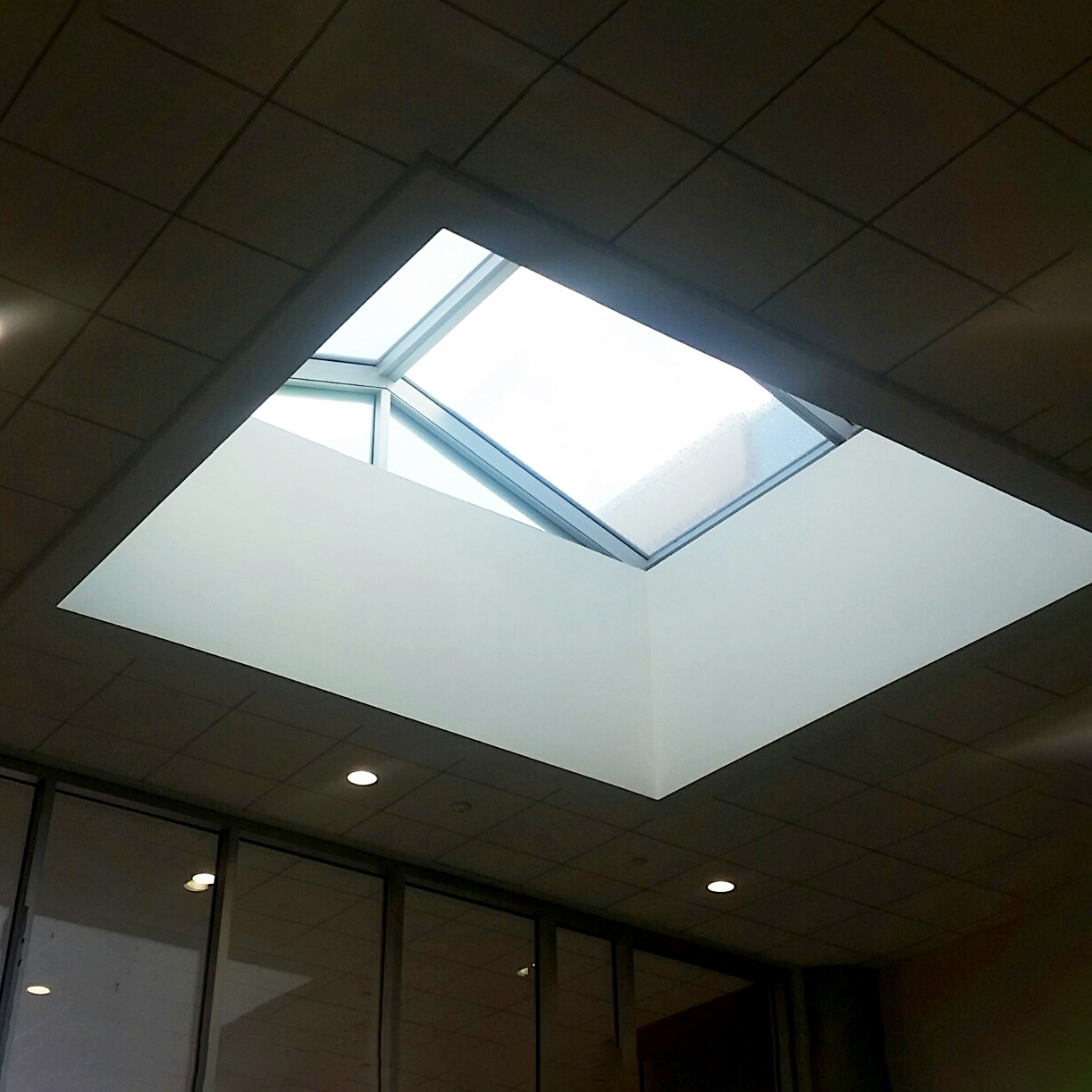 Thibodeaux Wellness Ridge skylight