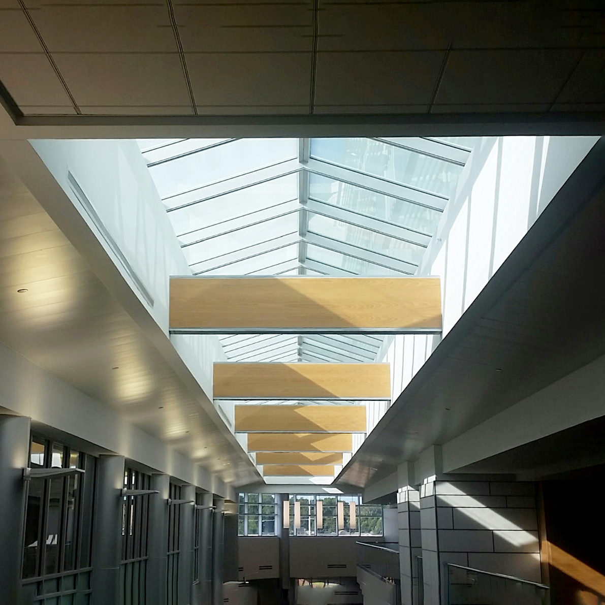 Skylight for LEED Wellness Center Skylight