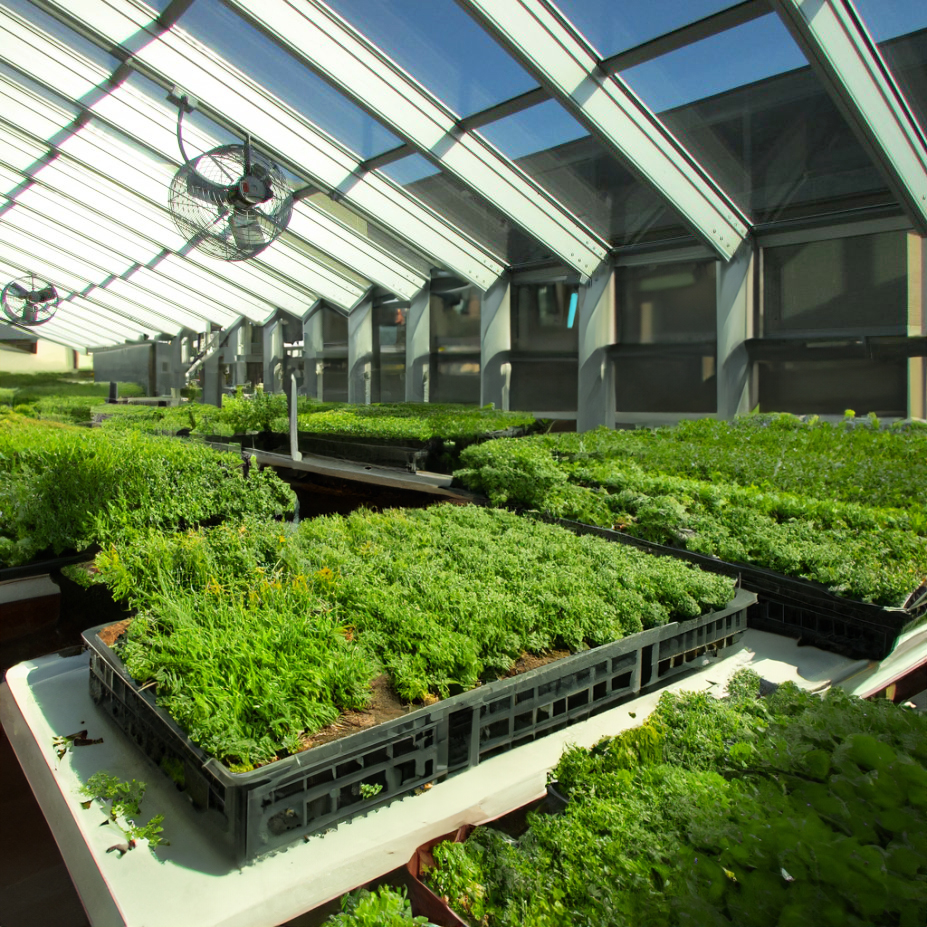 high school greenhouse Wausau West Greenhouse