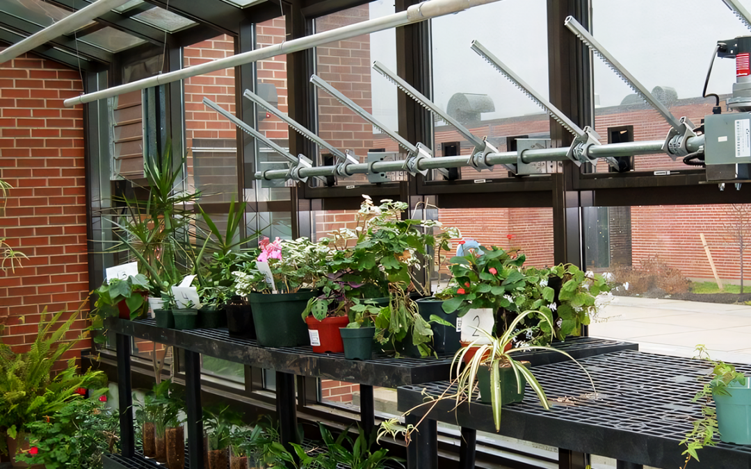 The Classroom Greenhouses: Core Curriculum Cultivated