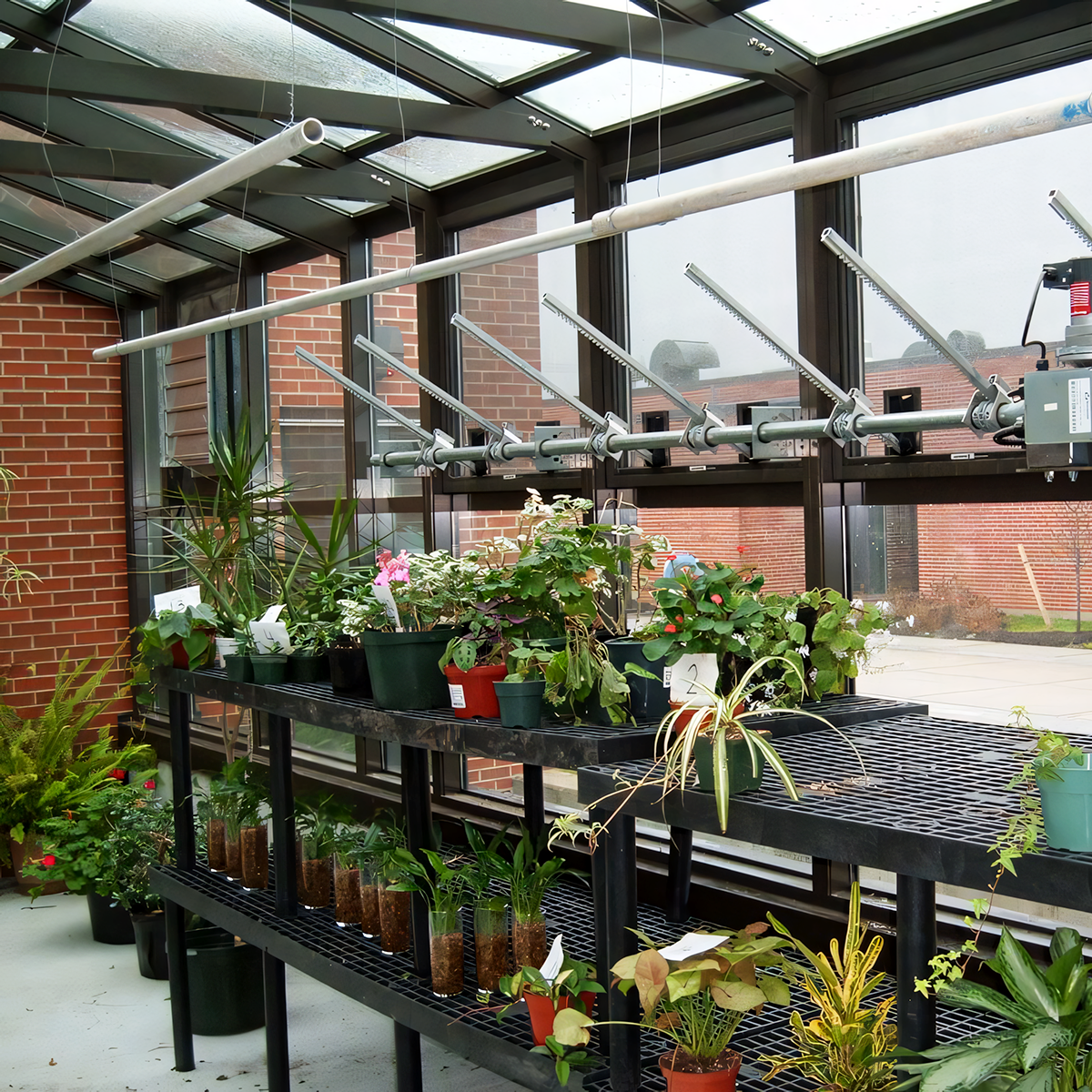 polycarbonate skylight