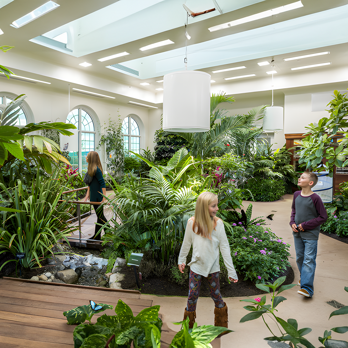Skylights provide light for butterflies Hershey Gardens butterfly room