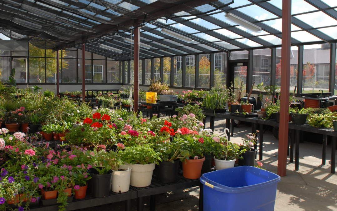 Taking the Guesswork Out of Growing
