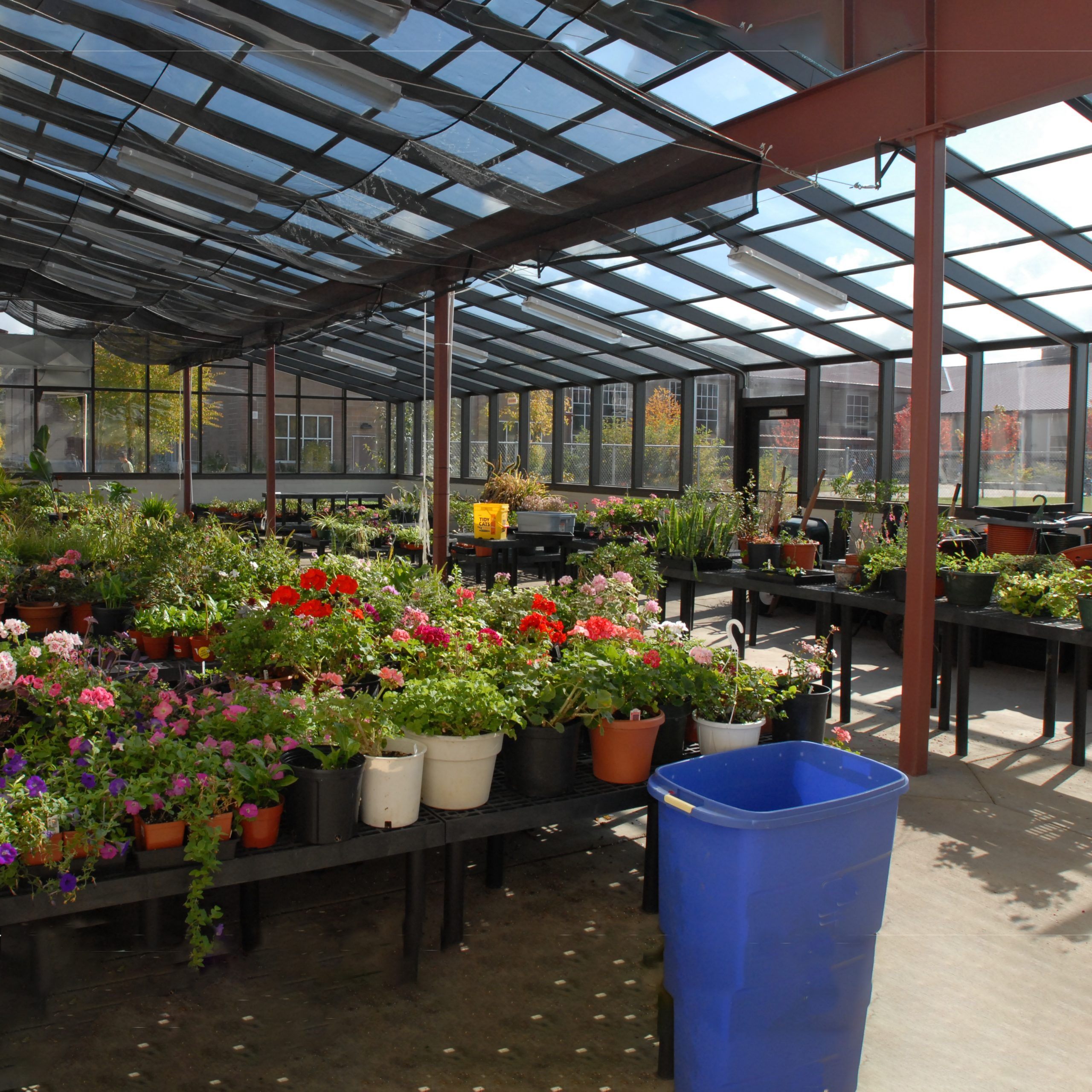 growing1 polycarbonate skylight