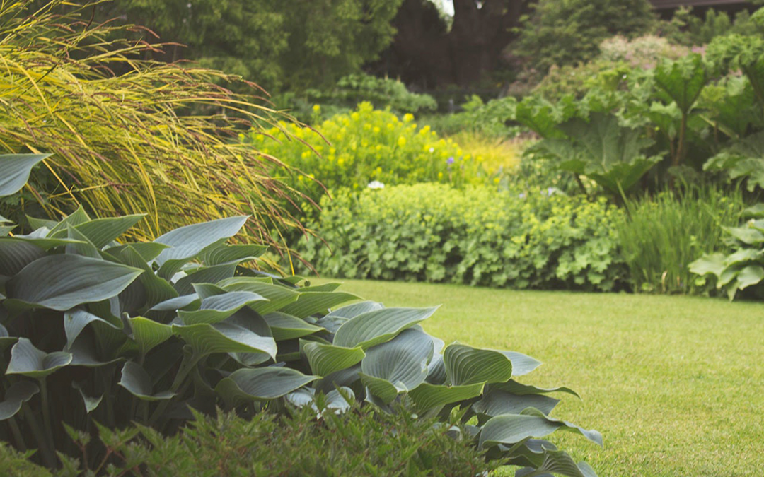How to get the nurturing effects of nature