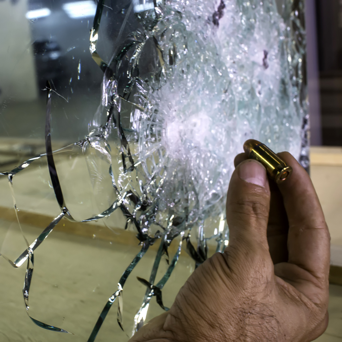 saftey_glass polycarbonate skylight