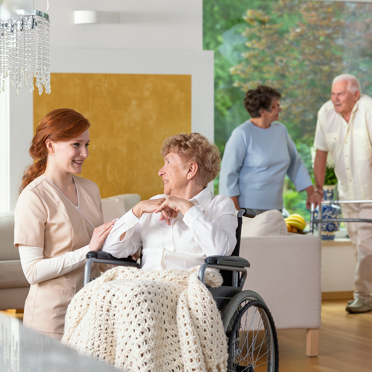 seniors_sun polycarbonate skylight